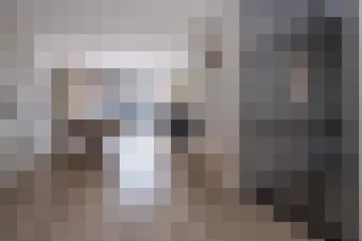 Eikendalsveenweg 2 Zwartebroek thumbnail 11