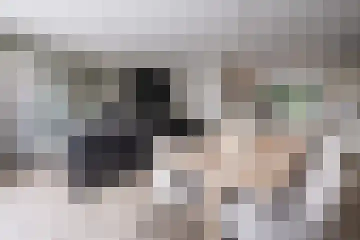 Eikendalsveenweg 2 Zwartebroek thumbnail 13