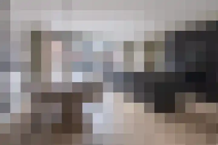 Eikendalsveenweg 2 Zwartebroek thumbnail 14