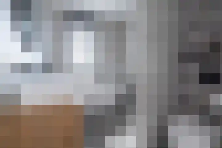 Eikendalsveenweg 2 Zwartebroek thumbnail 25