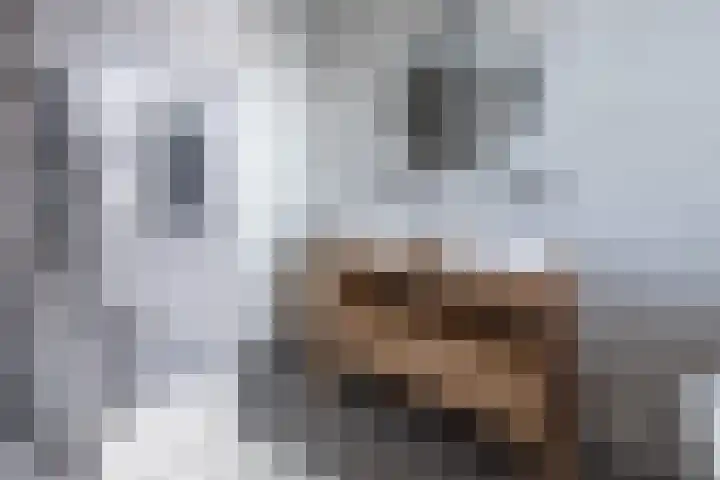 Eikendalsveenweg 2 Zwartebroek thumbnail 26