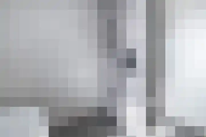 Eikendalsveenweg 2 Zwartebroek thumbnail 27