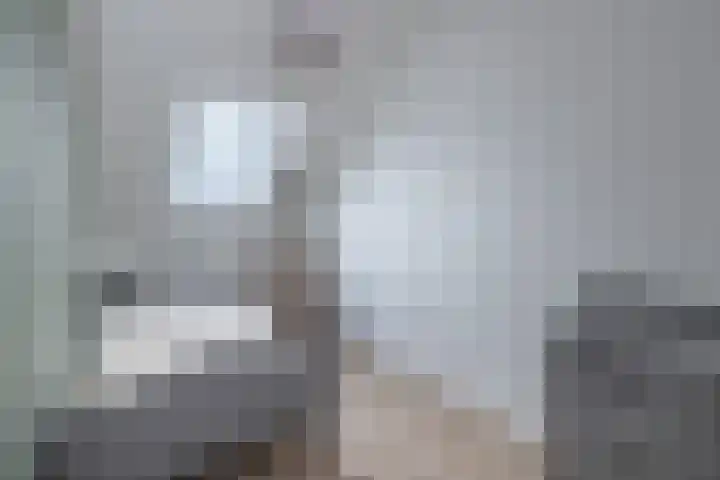 Eikendalsveenweg 2 Zwartebroek thumbnail 30
