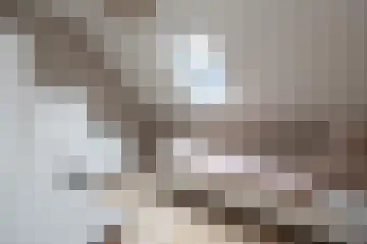 Eikendalsveenweg 2 Zwartebroek thumbnail 32