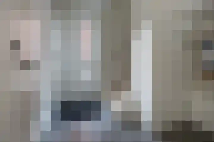 Eikendalsveenweg 2 Zwartebroek thumbnail 4
