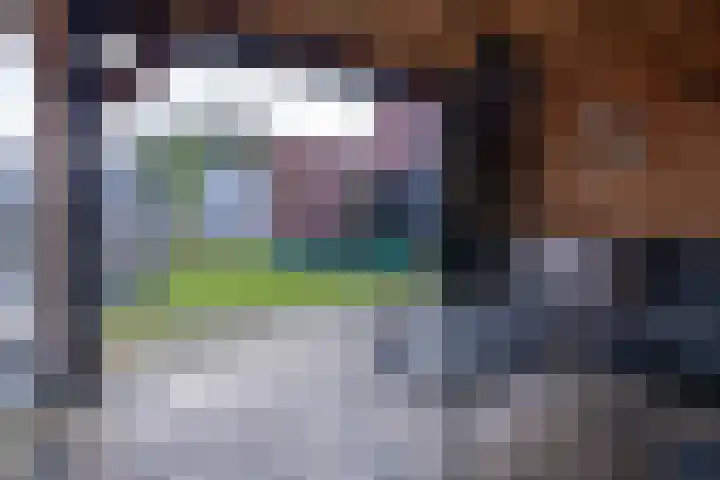 Eikendalsveenweg 2 Zwartebroek thumbnail 41