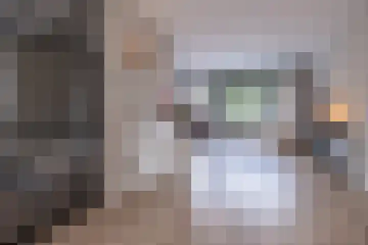 Eikendalsveenweg 2 Zwartebroek thumbnail 5