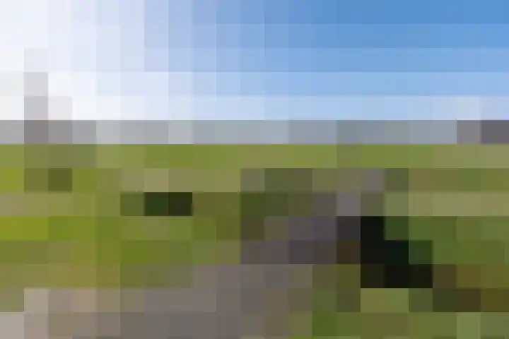 Eikendalsveenweg 2 Zwartebroek thumbnail 51