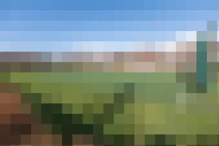 Eikendalsveenweg 2 Zwartebroek thumbnail 52