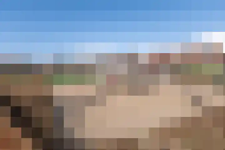 Eikendalsveenweg 2 Zwartebroek thumbnail 53