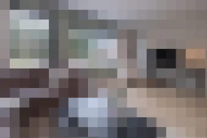 Eikendalsveenweg 2 Zwartebroek thumbnail 7