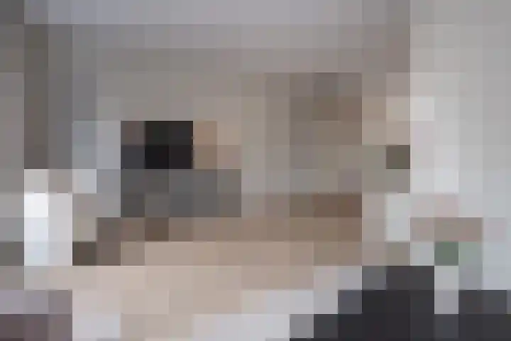 Eikendalsveenweg 2 Zwartebroek thumbnail 9