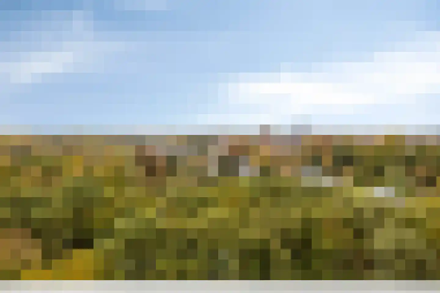 Eikendonck 103 Vught thumbnail 13
