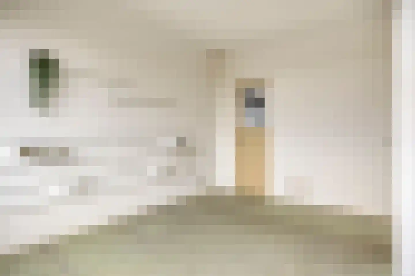 Eikendonck 103 Vught thumbnail 20