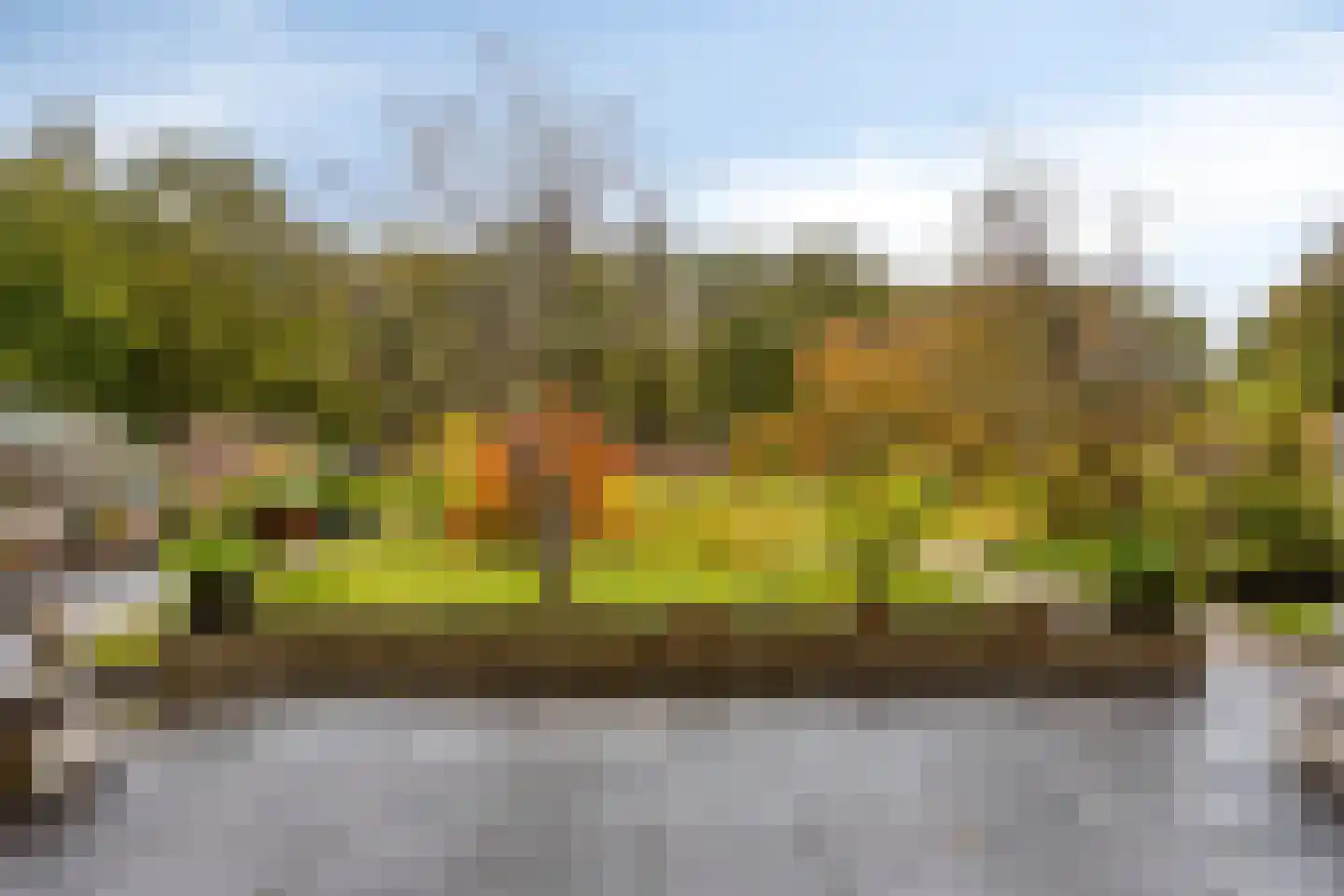 Eikendonck 103 Vught thumbnail 26