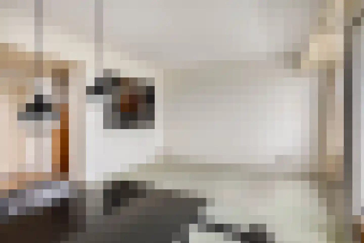 Eikendonck 103 Vught thumbnail 8