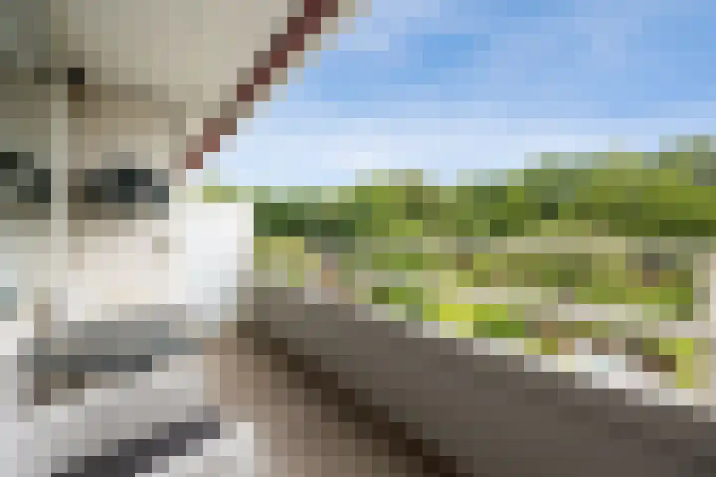 Eikendonck 12 Vught thumbnail 26