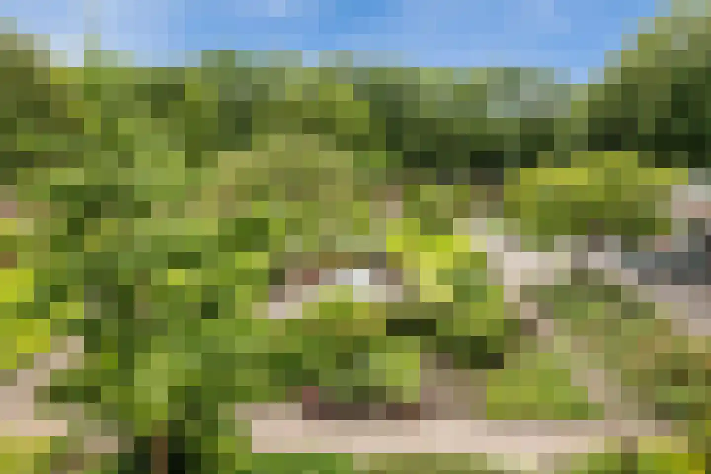Eikendonck 12 Vught thumbnail 28