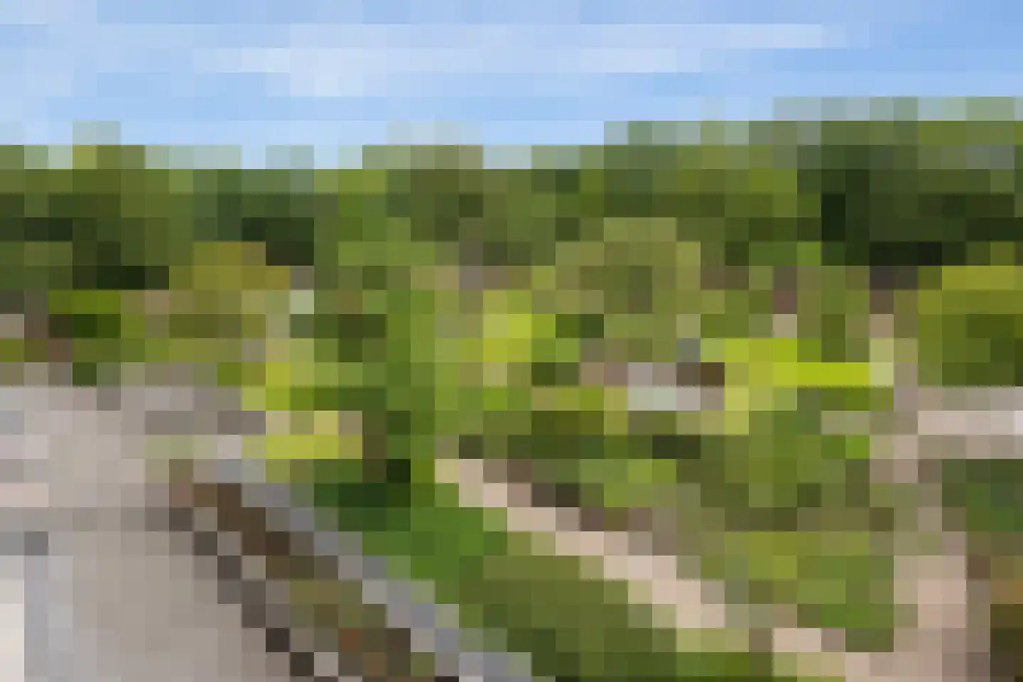 Eikendonck 12 Vught thumbnail 29