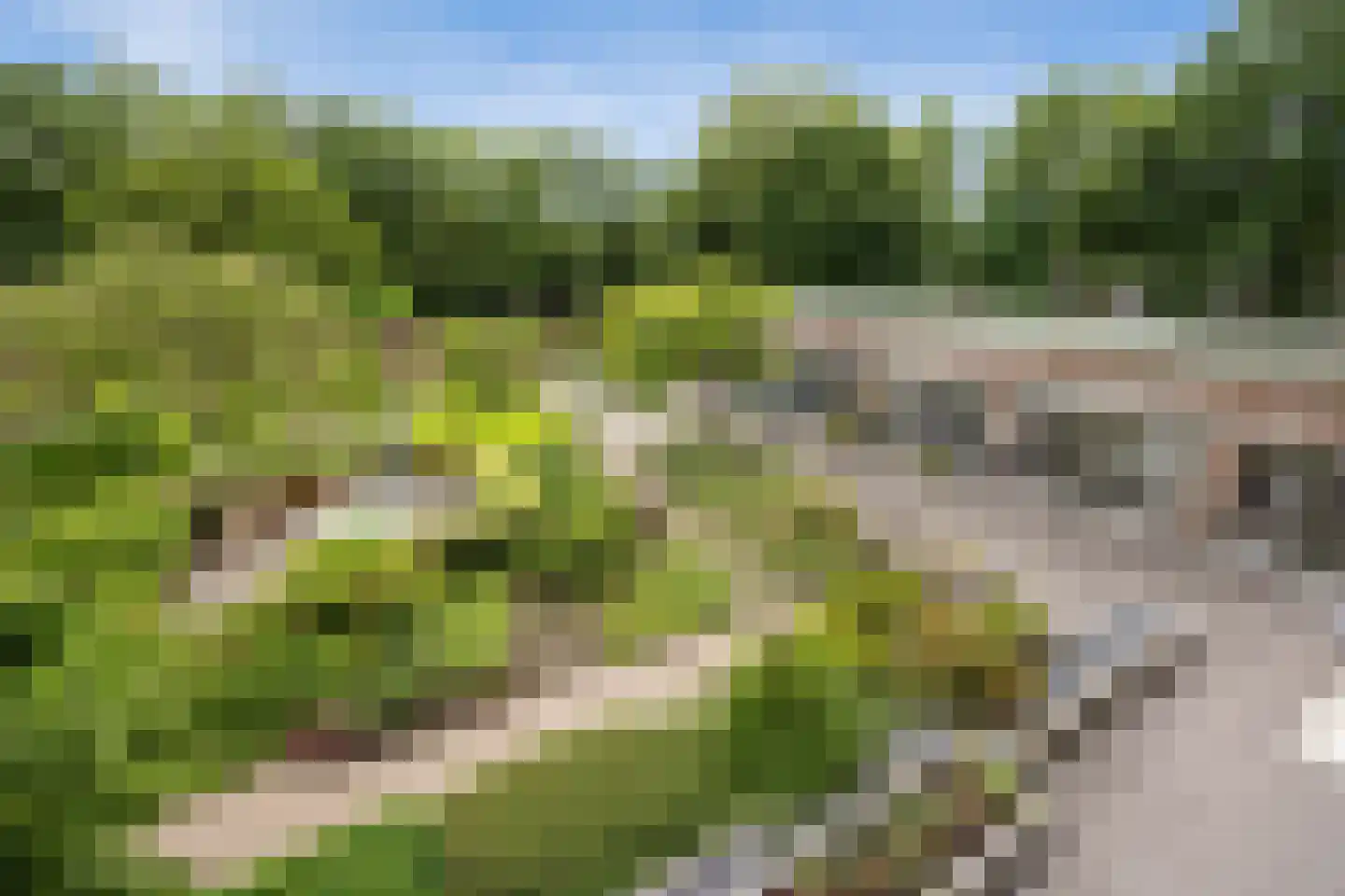 Eikendonck 12 Vught thumbnail 30
