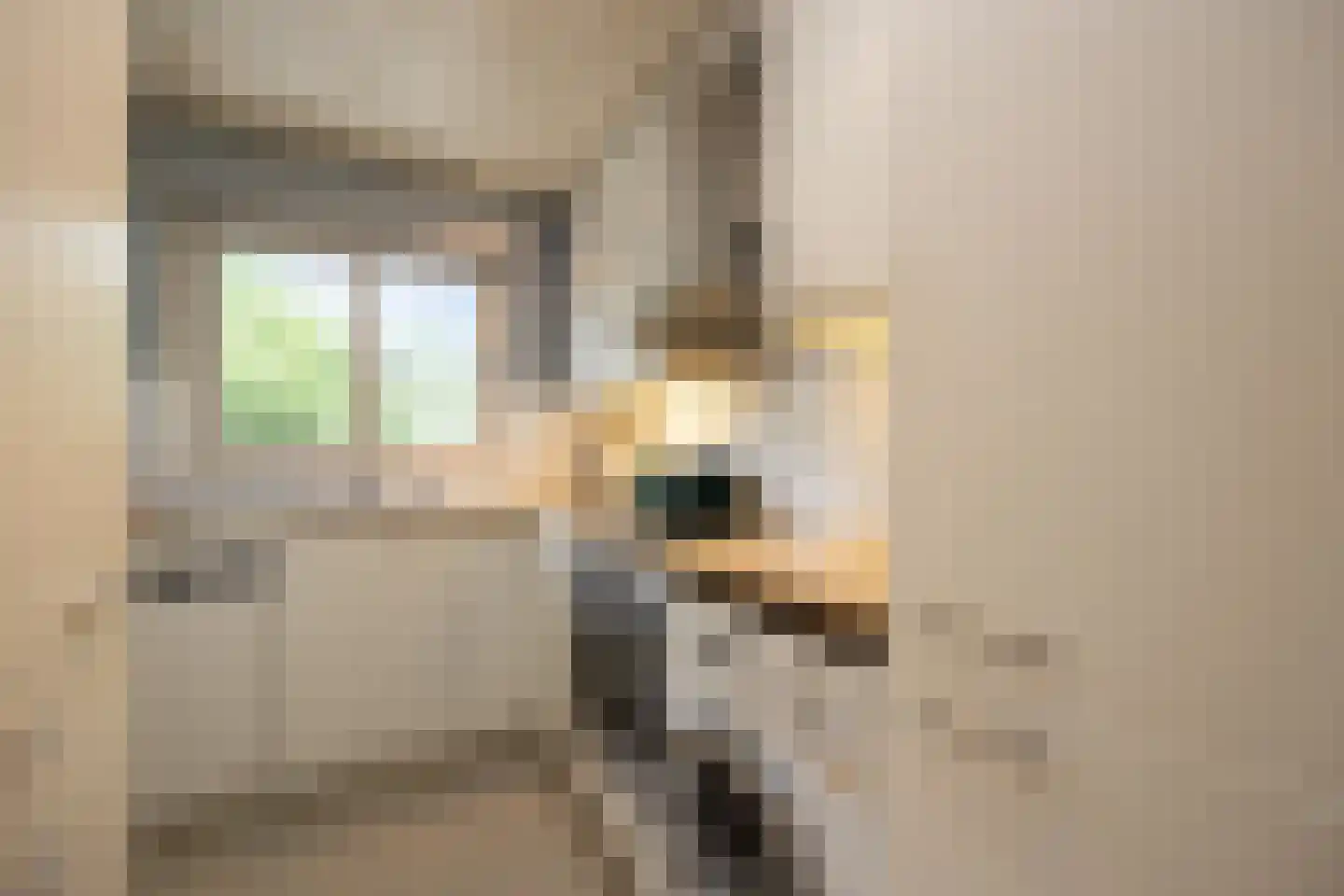 Eikendonck 12 Vught thumbnail 38