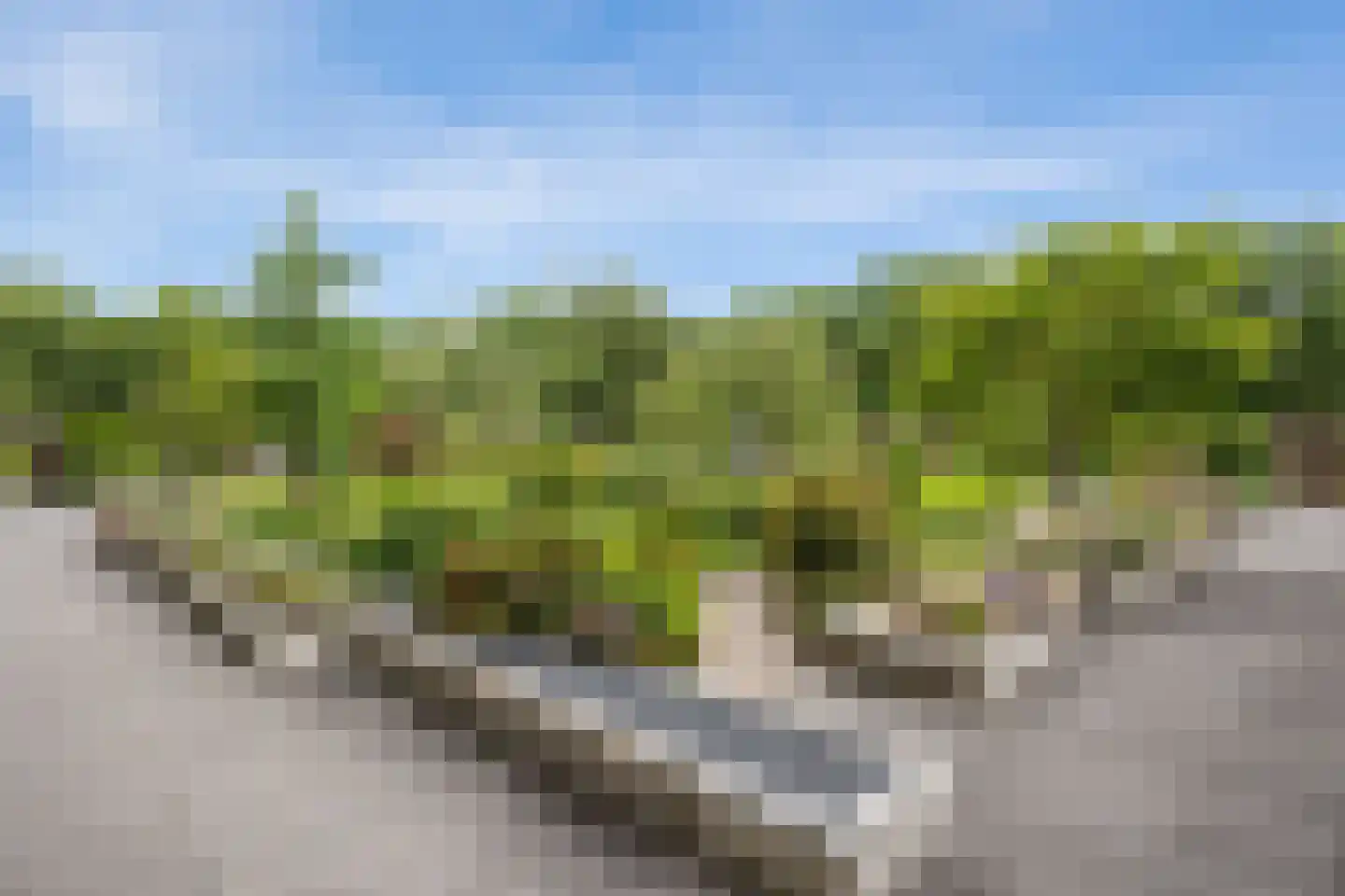 Eikendonck 12 Vught thumbnail 55