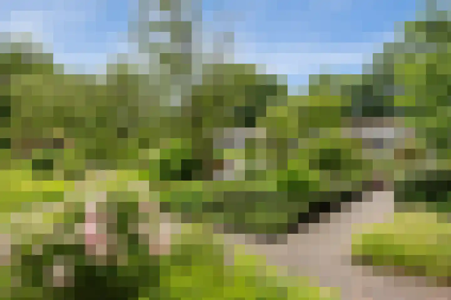Eikendonck 12 Vught thumbnail 56