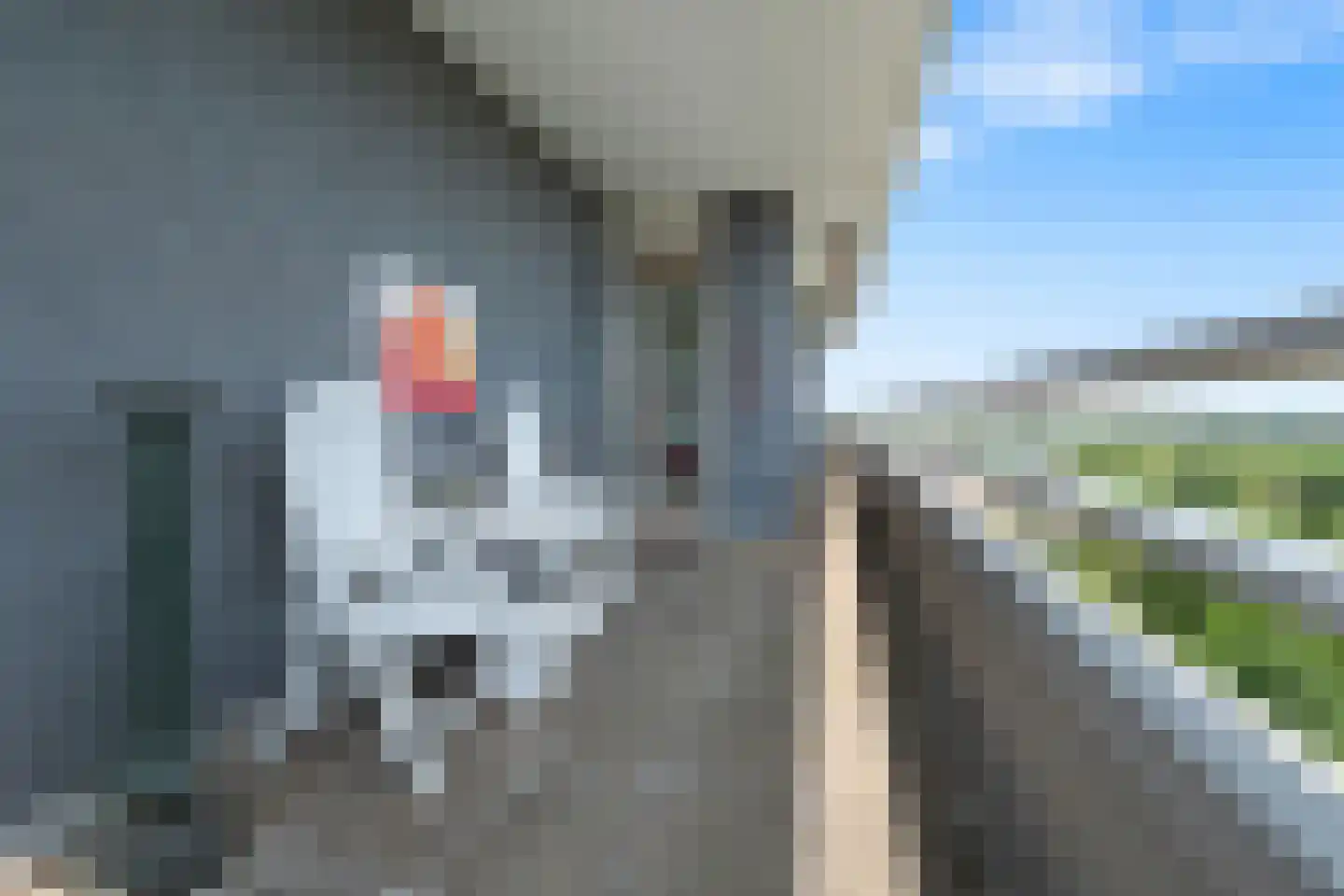 Eikendonck 127 Vught thumbnail 19