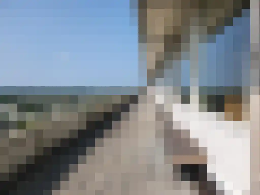 Eikendonck 135 Vught thumbnail 15