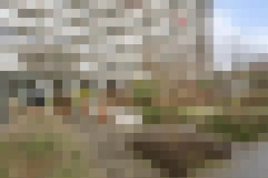 Eikendonck 135 Vught thumbnail 21