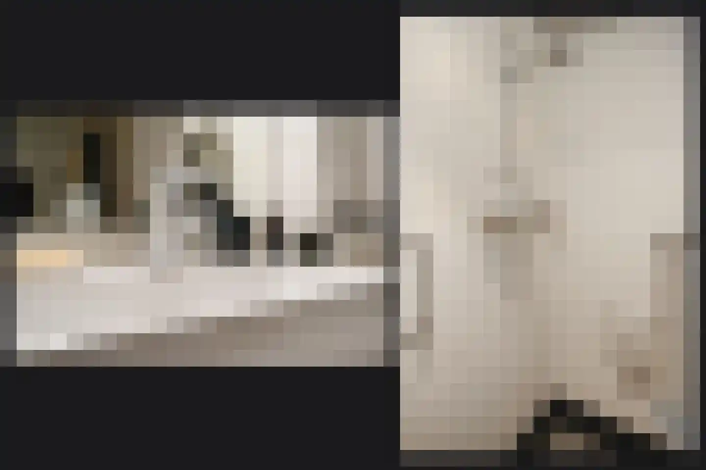 Eikendonck 23 Vught thumbnail 13