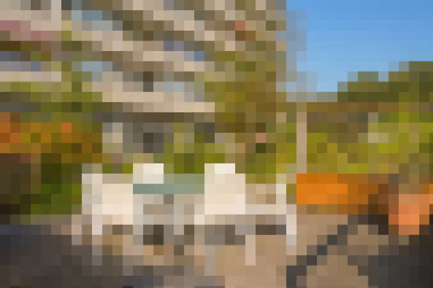Eikendonck 23 Vught thumbnail 21