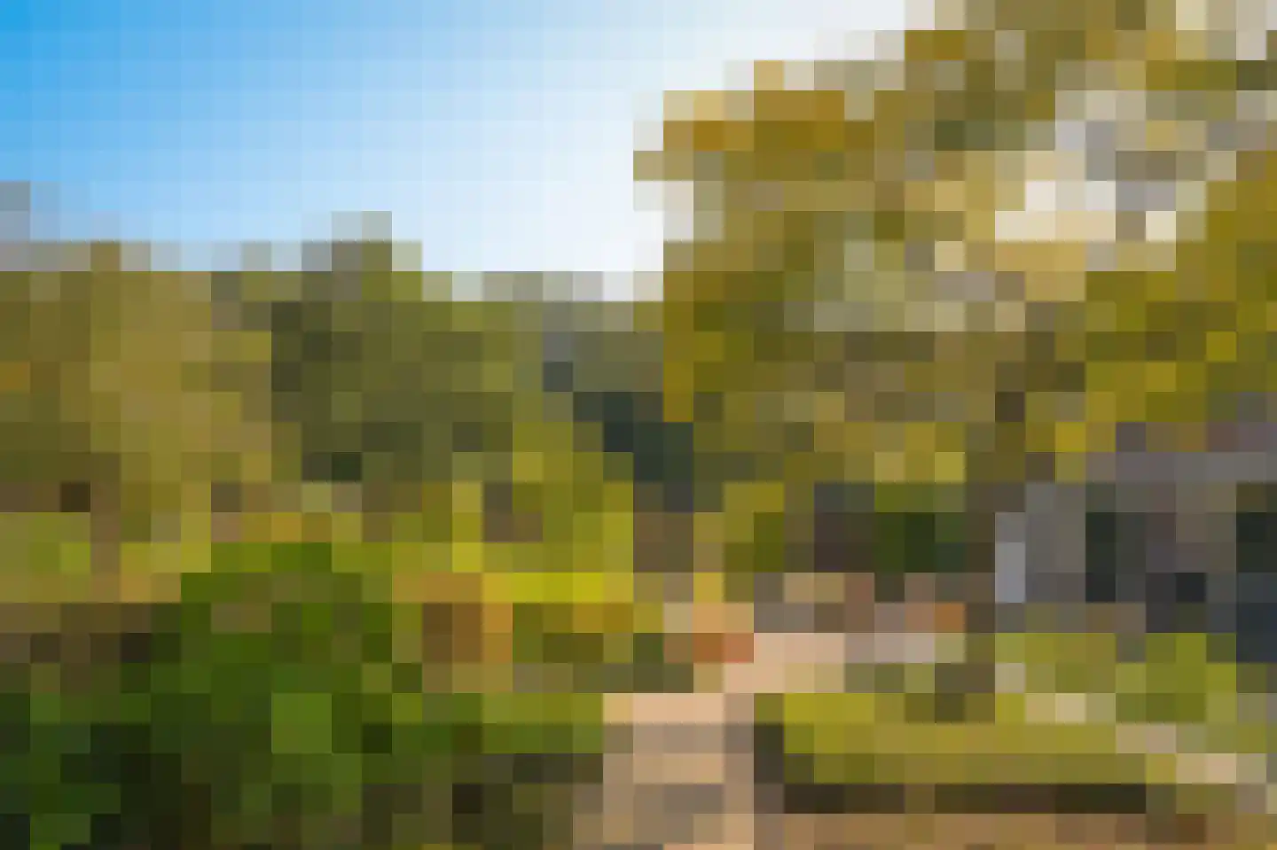 Eikendonck 23 Vught thumbnail 22