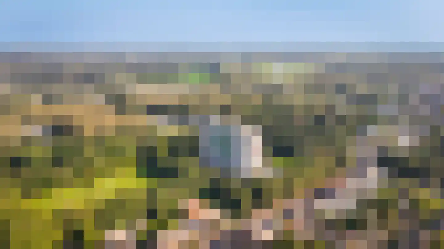 Eikendonck 23 Vught thumbnail 28