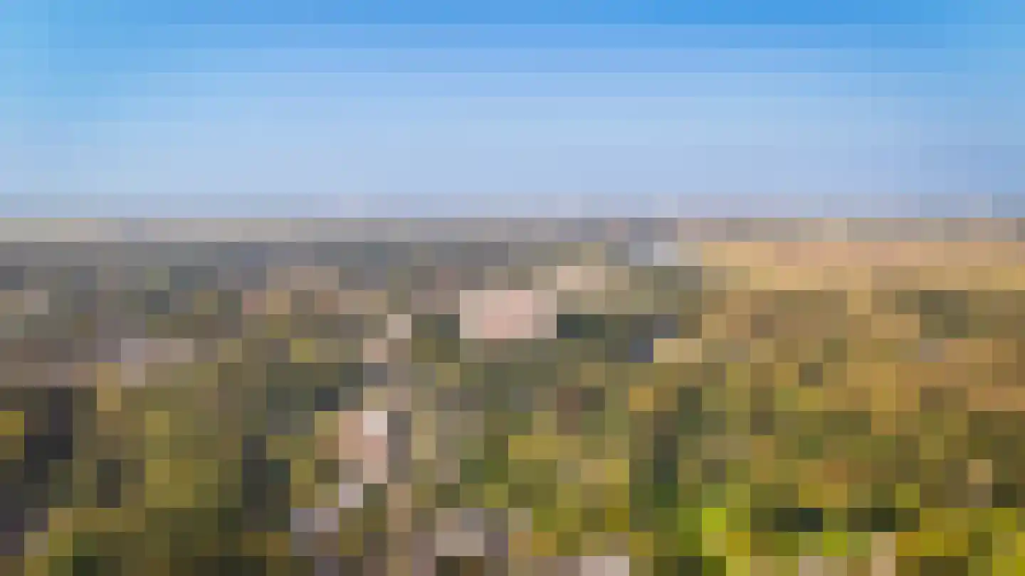 Eikendonck 23 Vught thumbnail 29