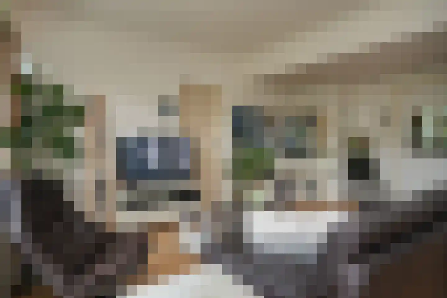 Eikendonck 23 Vught thumbnail 6