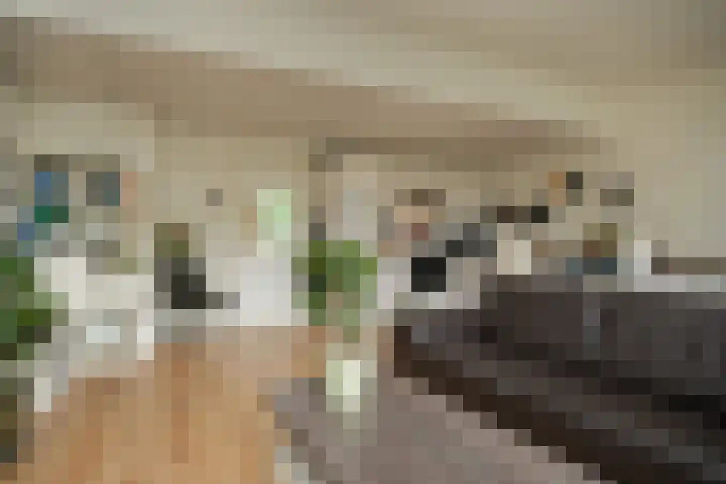 Eikendonck 23 Vught thumbnail 7