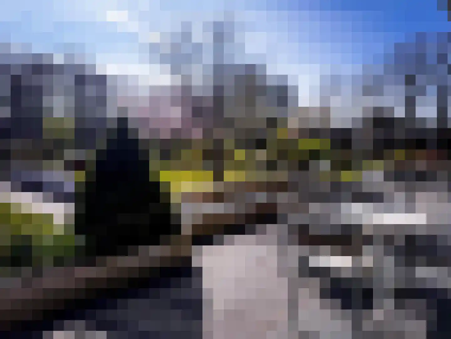 Eikendonck 76 Vught thumbnail 11