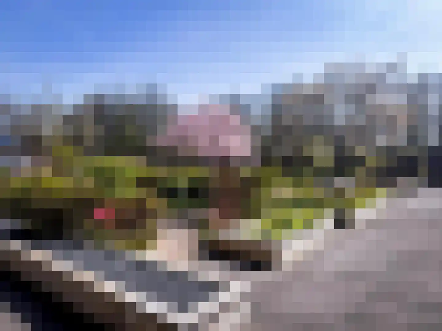 Eikendonck 76 Vught thumbnail 12