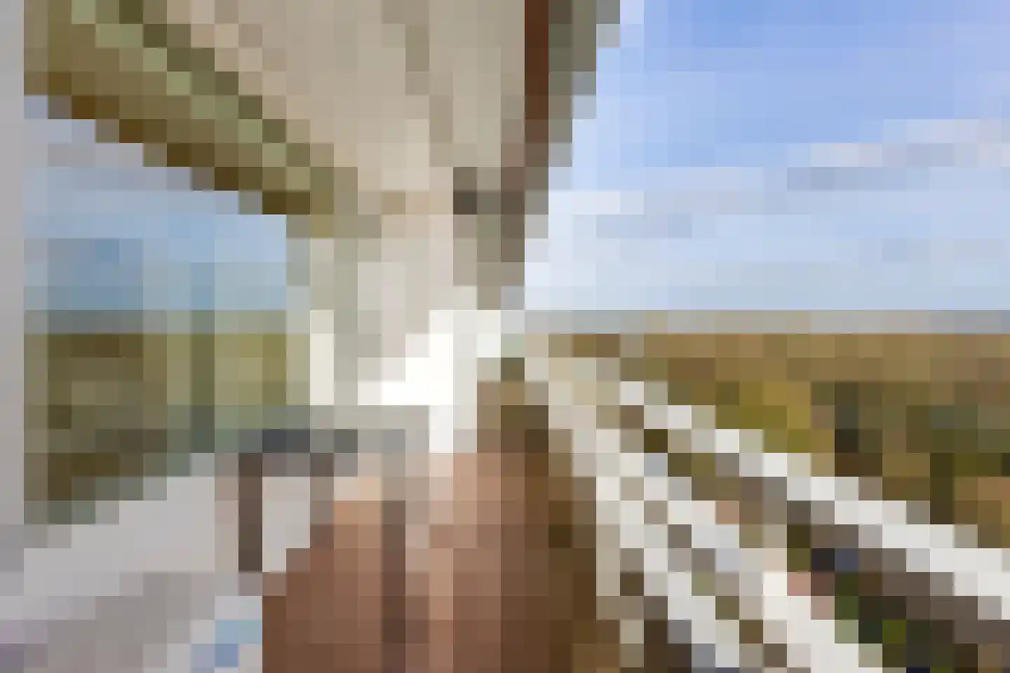 Eikendonck 76 Vught thumbnail 36