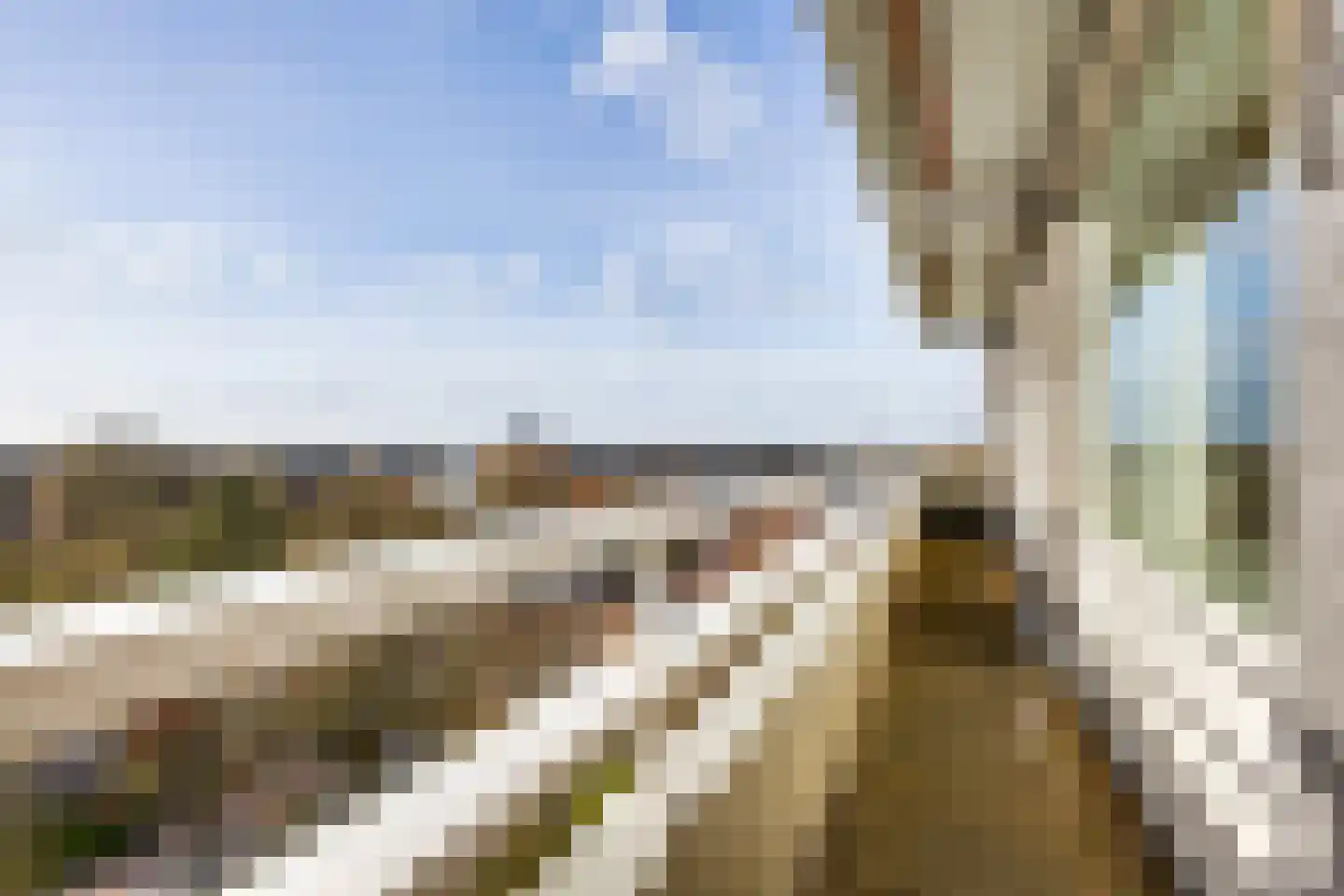 Eikendonck 76 Vught thumbnail 42