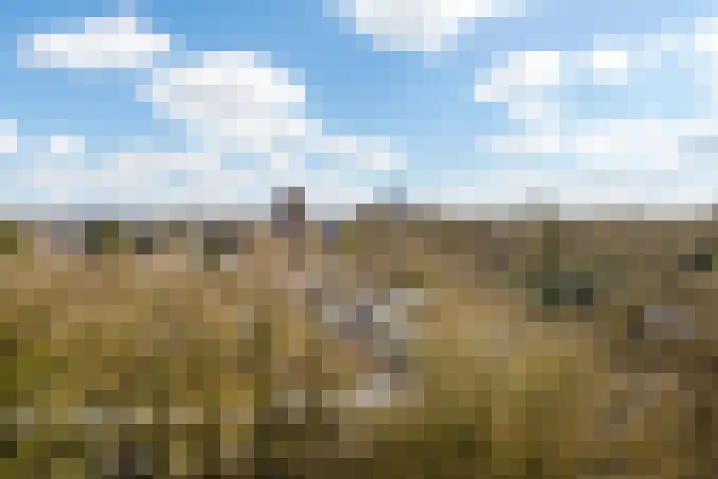 Eikendonck 76 Vught thumbnail 45