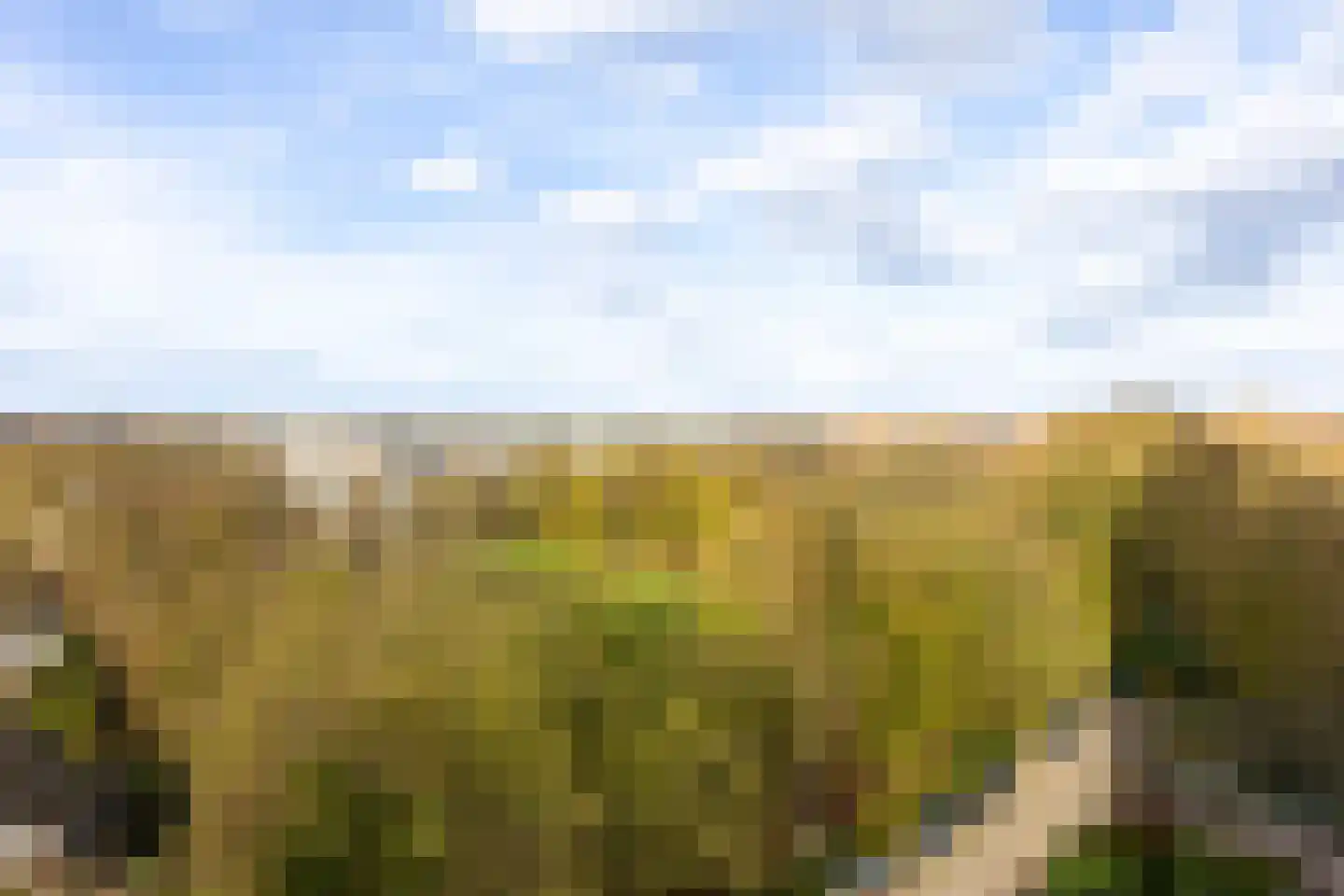 Eikendonck 76 Vught thumbnail 46
