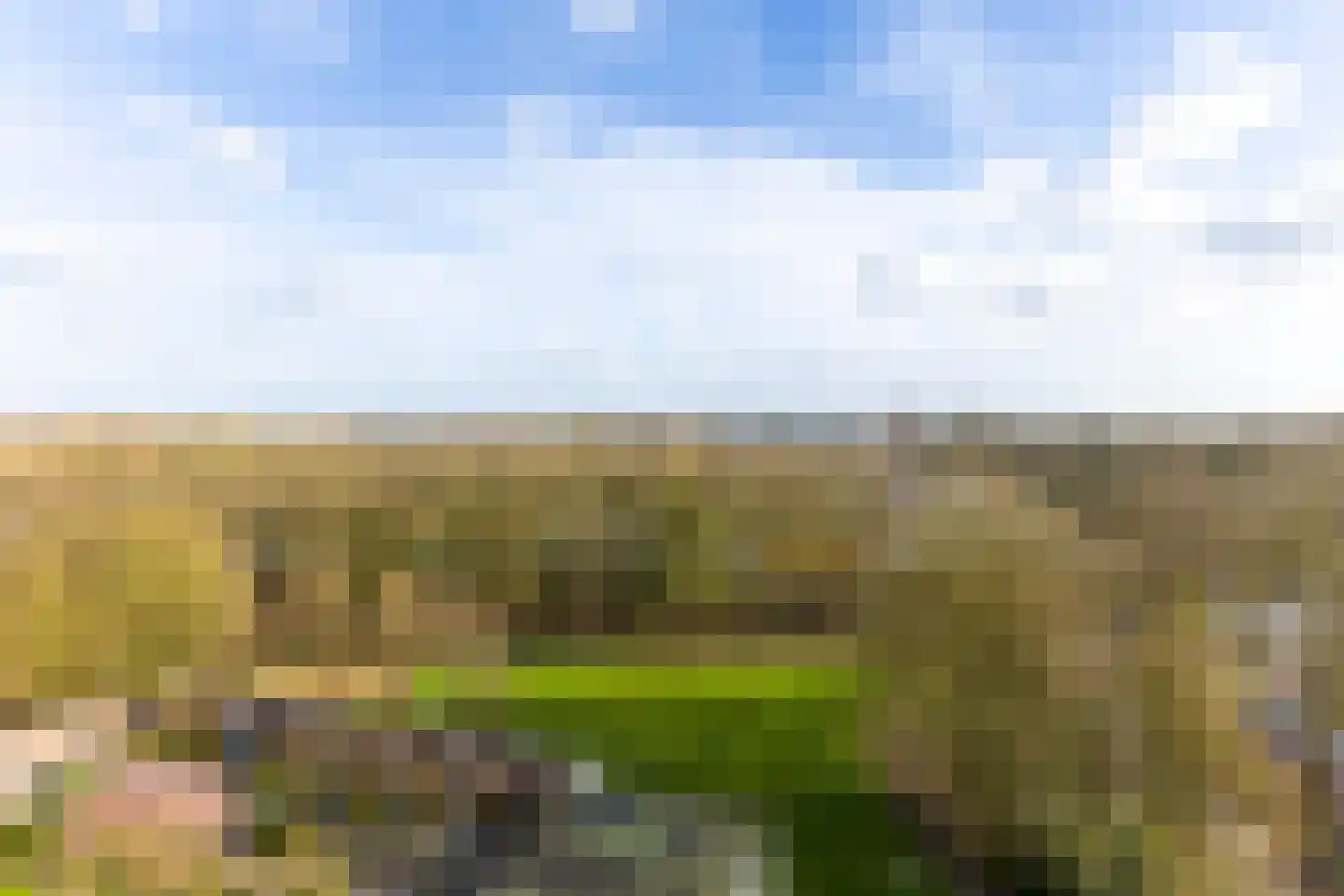 Eikendonck 76 Vught thumbnail 47