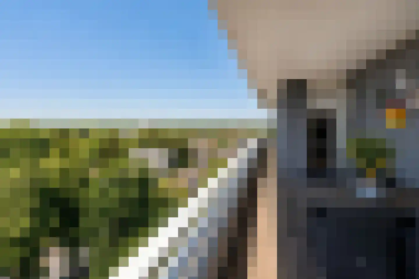 Eikendonck 86 Vught thumbnail 22