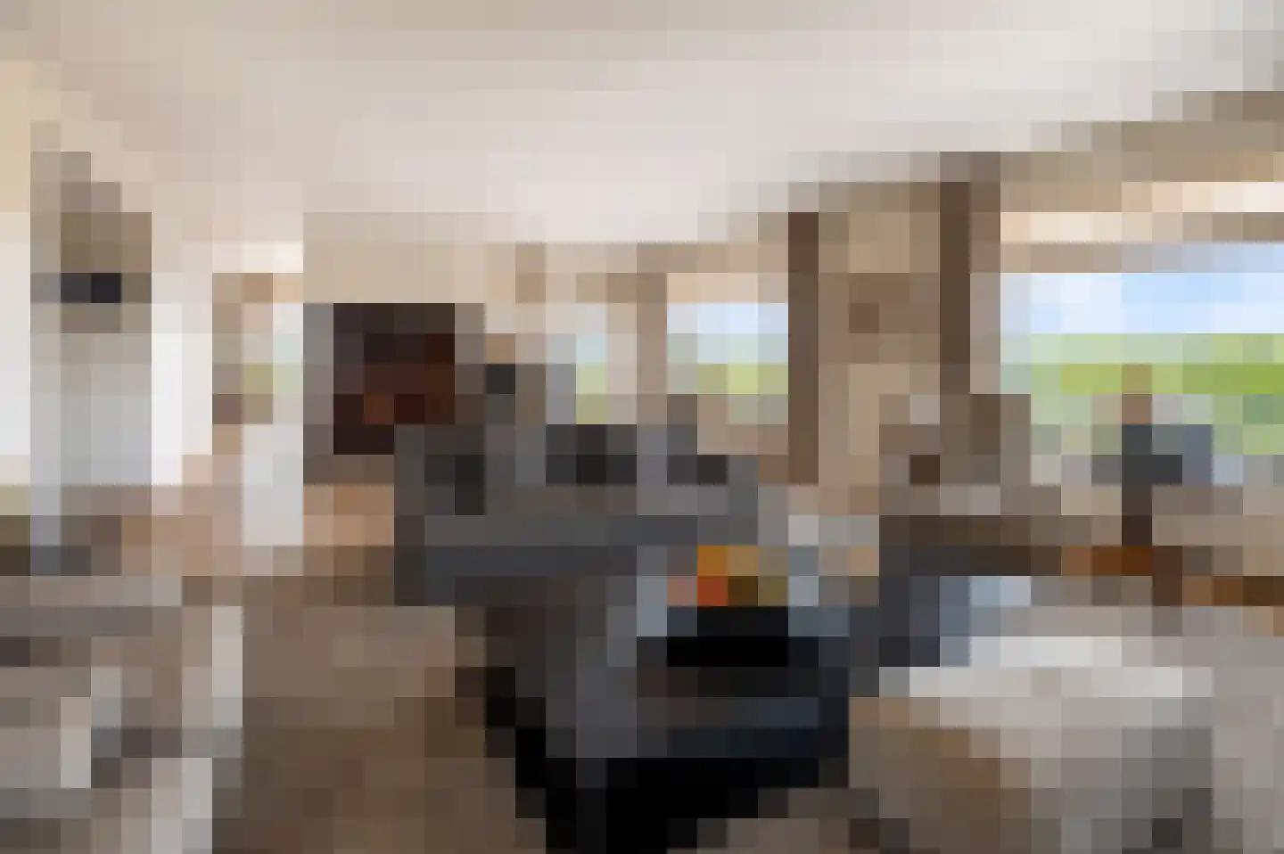 Eikendonck 86 Vught thumbnail 8