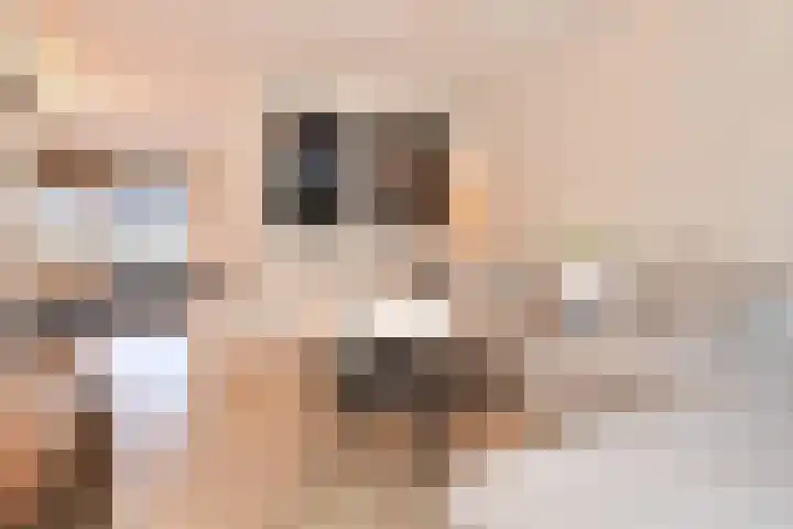 Eikendreef 12 Nootdorp thumbnail 26