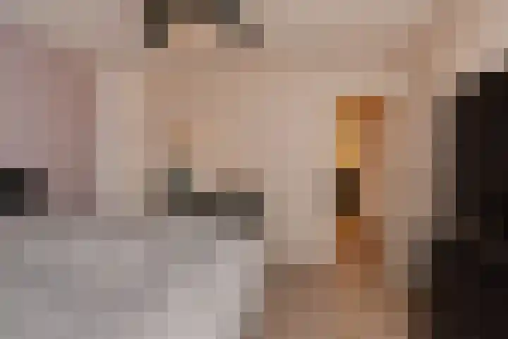 Eikendreef 12 Nootdorp thumbnail 31