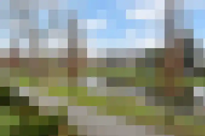 Eikendreef 12 Nootdorp thumbnail 38