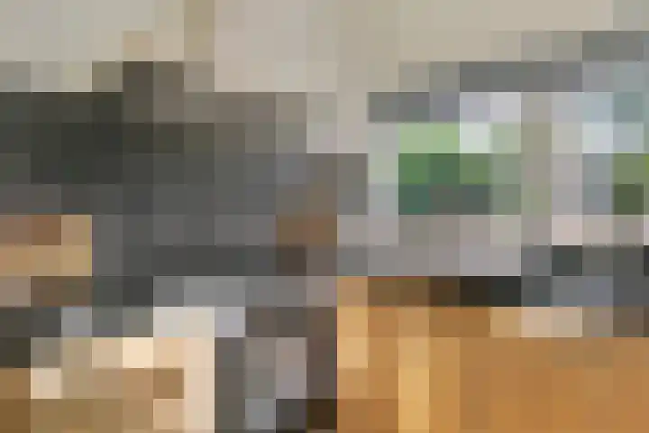 Eikendreef 12 Nootdorp thumbnail 5